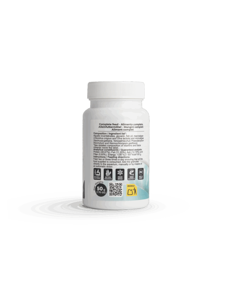 DKI_2_50G_BACK
