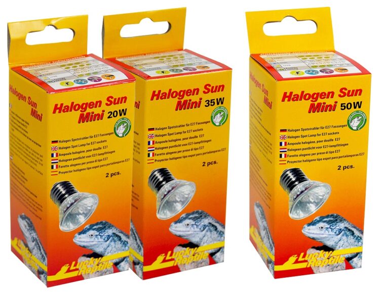63421-63423HalogenSunMiniGruppe_v9f2wJIiVK91