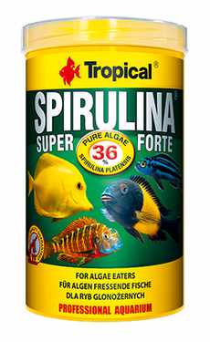 Spirulian36_7KnhEWgrMWIa