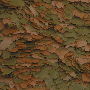 cichlid-color-100_SyjvJFX06Z24