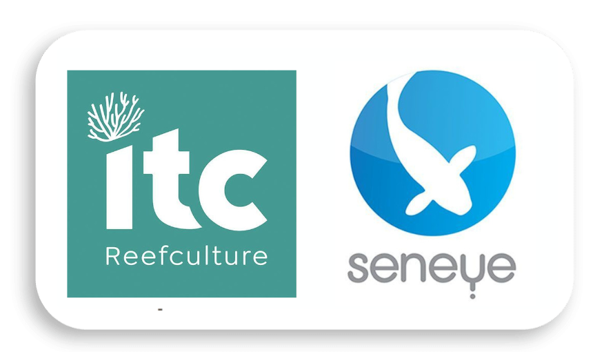 ITC Reefculture
