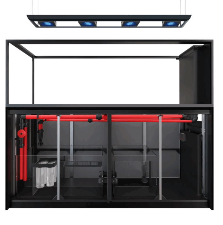 950 nero 2