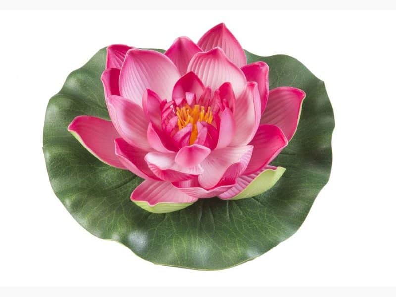 Velda Floating Lotus Foam Fuchsia Ø28cm - decorazione sintetica galleggiante per laghetti
