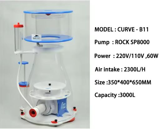 CURVEB11