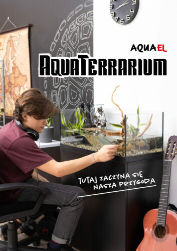 123968-aquaterrarium-60_04_238-353x500_4lWEA5Uem2ox