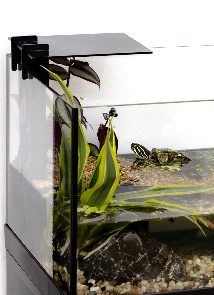 123968-aquaterrarium-60_06_295_FxAspTD2FGxs