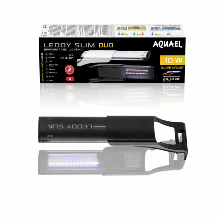 124219 LEDDY SLIM DUO 10W SUNNY PLANT&NIGHT CZA_9