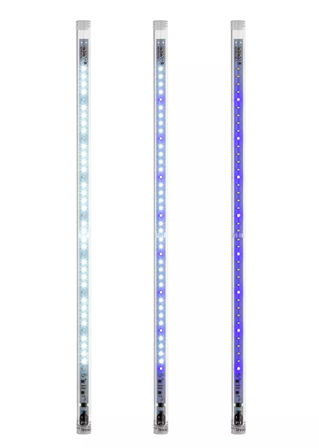 LEDDYTUBESUNNY4_GLGXz4OdscJW