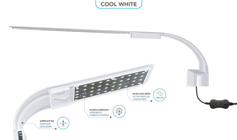 X9-Cool-White-1_tCr0JPFKbVAk