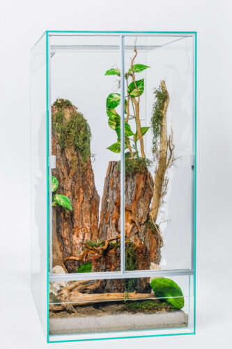 diversa-nowe-terrarium-wysokie-100x50x50_758-e1633931506913-333x500_UTFVh1EzcpYQ