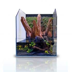 blau_paludarium-sampl_JKY9qDKjLeAG_medium