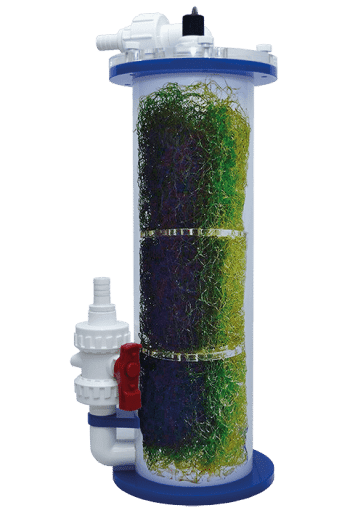 alr_with_algae_small_png_1_