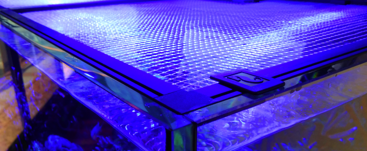 Red Sea Net Cover blends in seamlessly
