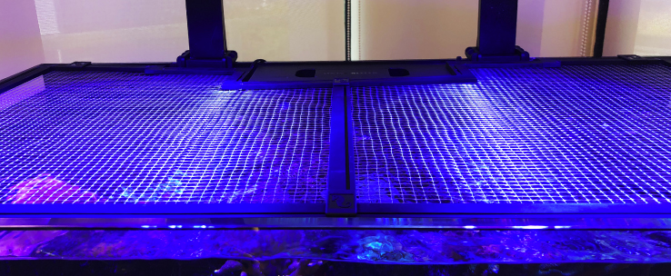 extra thin transparent net cover