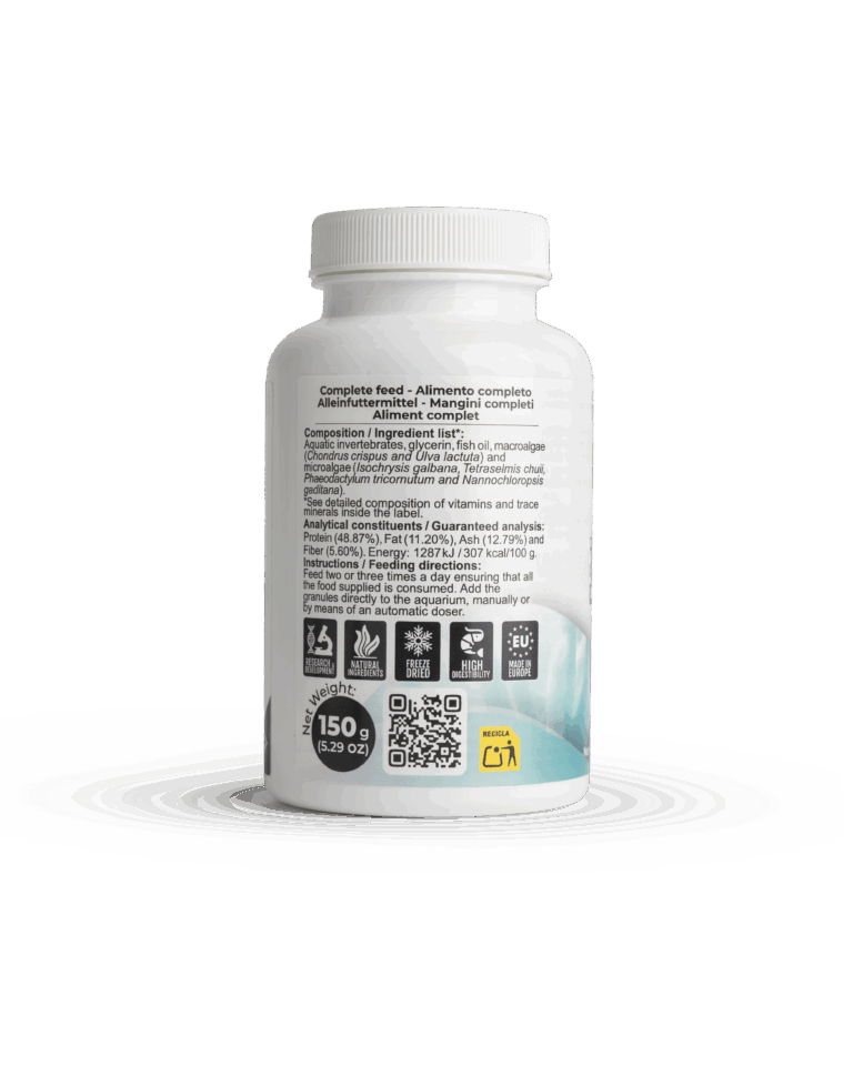 DKI_1.2_150G_BACK