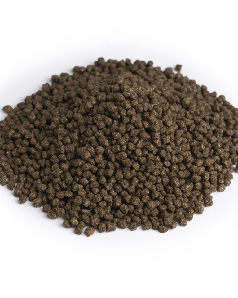 DKI_2_PELLET