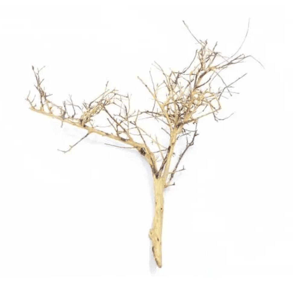 Whimar Decor Tiny Ramous Wood Large 30-50cm - 1pz