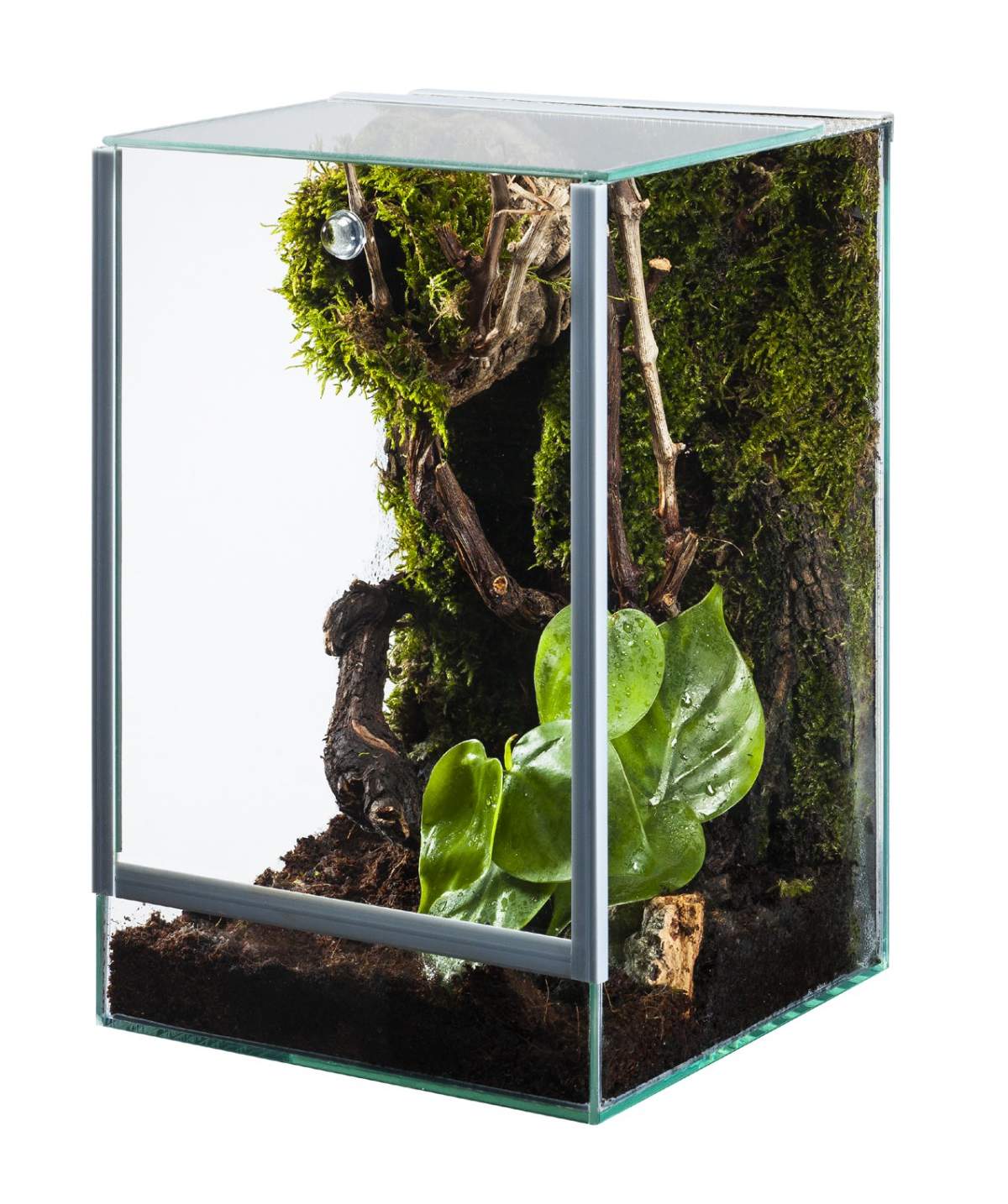 Diversa - Nano Terrario 15x15x20